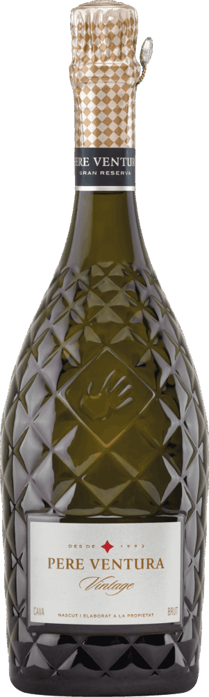 Cava Gran Reserva Tresor Brut Vintage