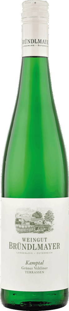 Bründlmayer Grüner Veltliner Kamptal Terrassen 2024  0.75 L Flasche