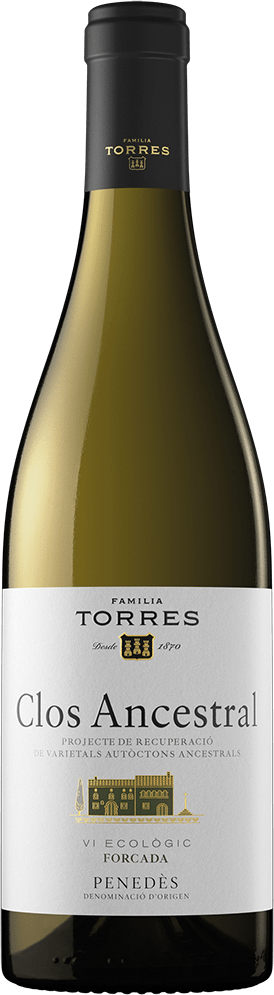 Miguel Torres Clos Ancestral Blanco 2025  0.75 L Flasche