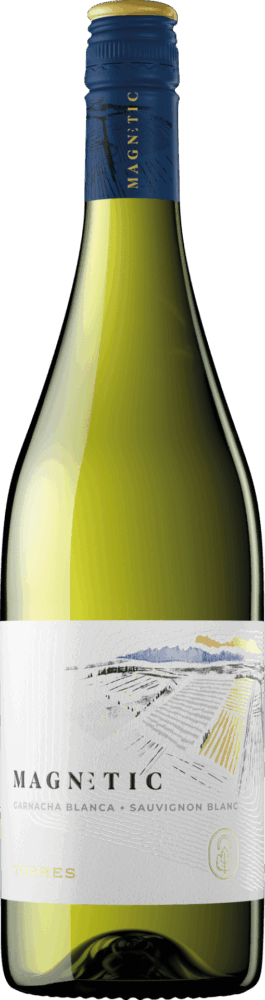 Magnetic Blanco