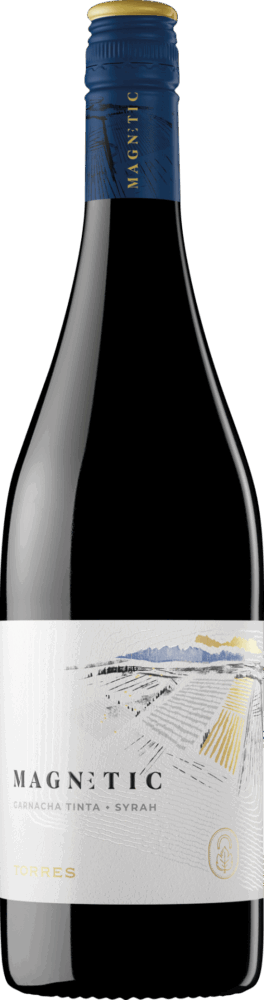 Magnetic Tinto