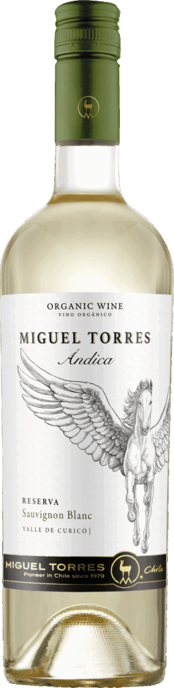 Miguel Torres Chile Andica Sauvignon Blanc Reserva 2024  0.75 L Flasche