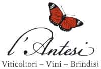 L Antesi