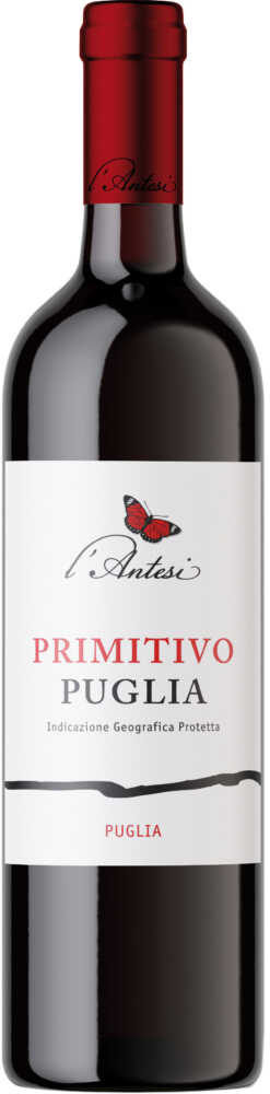 L Antesi Primitivo Pugia I.G.P. 2021  0.75 L Flasche