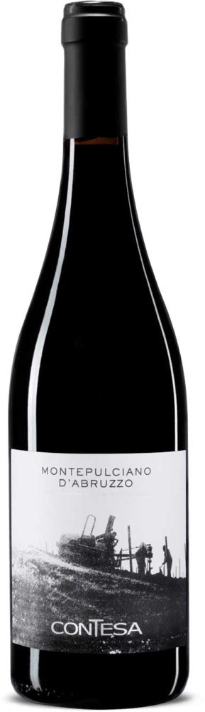 CONTESA di Rocco Pasetti Montepulciano D Abruzzo D.O.C. 2023  0.75 L Flasche