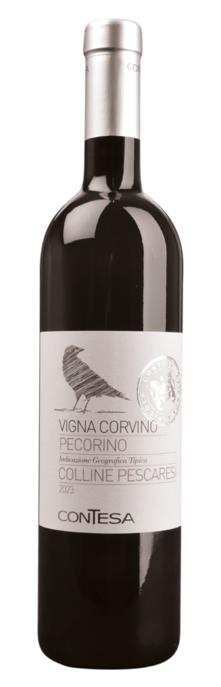 CONTESA di Rocco Pasetti Pecorino Colline Pescaresi I.G.T. 2025  0.75 L Flasche