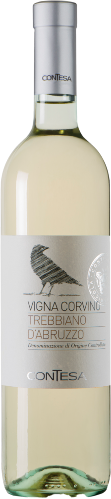 CONTESA di Rocco Pasetti Trebbiano D Abruzzo D.O.C. 2025  0.75 L Flasche