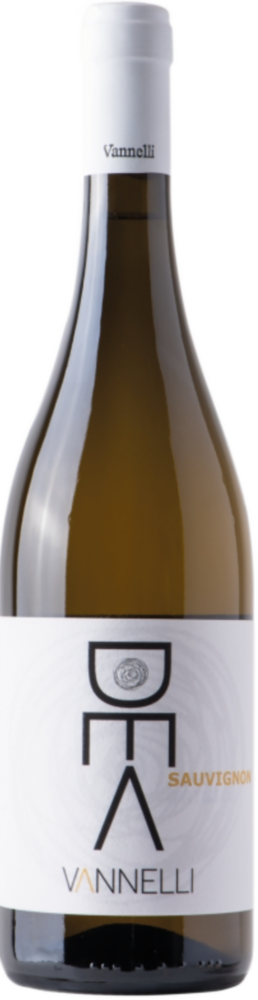 Vini Vannelli Sauvignon 2025  0.75 L Flasche