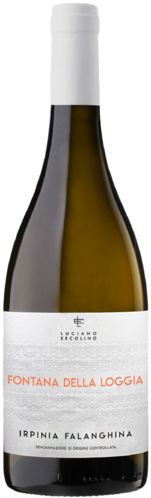 VINOSIA Fontana Della Loggia 2025  0.75 L Flasche