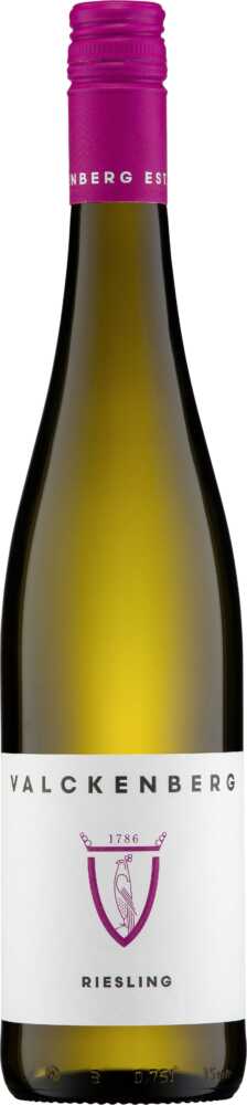 Valckenberg Riesling Lieblich 2024  0.75 L Flasche