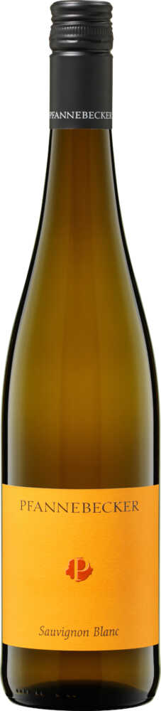 Weingut Pfannebecker Sauvignon Blanc Trocken Qw Rheinhessen 2025  0.75 L Flasche