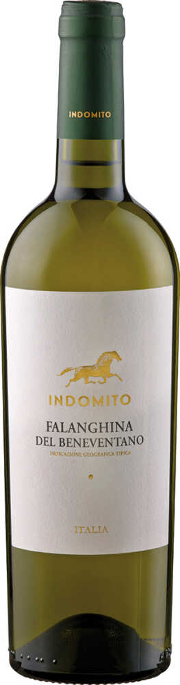 Indomito Falanghina Del Beneventano  IGT 2025  0.75 L Flasche