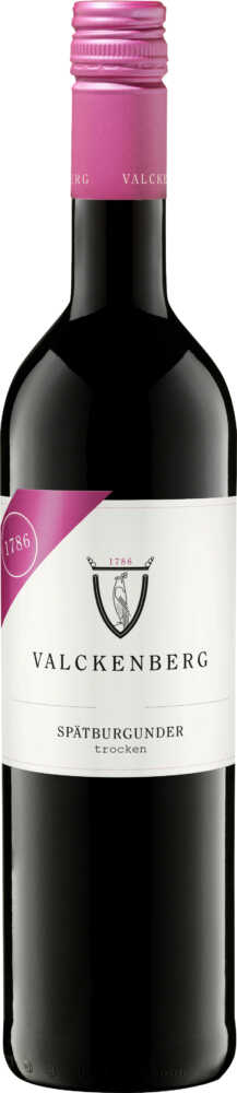 Valckenberg Spätburgunder Trocken Qw Rheinhessen 2022  1 L Flasche