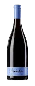 Gantenbein Pinot Noir 2021  0.75 L Flasche