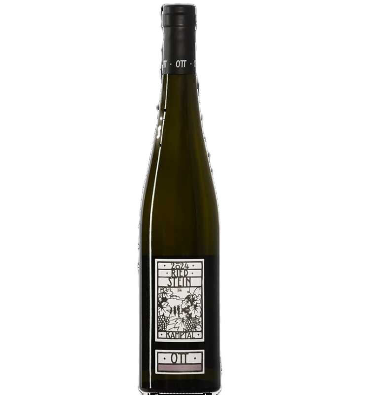 Bernhard Ott Grüner Veltliner Ried Engabrunner Stein 2024  0.75 L Flasche