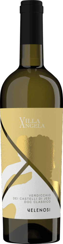 Velenosi Querci Antica Verdicchio Dei Castelli Di Jesi Doc Classico 2024  0.75 L Flasche