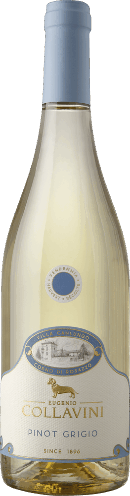 Collavini Villa Canlungo Pinot Grigio Friuli Venezia Giulia DOC 2025  0.75 L Flasche