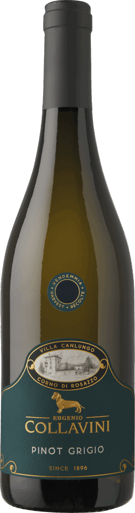 Collavini Villa Canlungo Pinot Grigio Collio Doc 2025  0.75 L Flasche