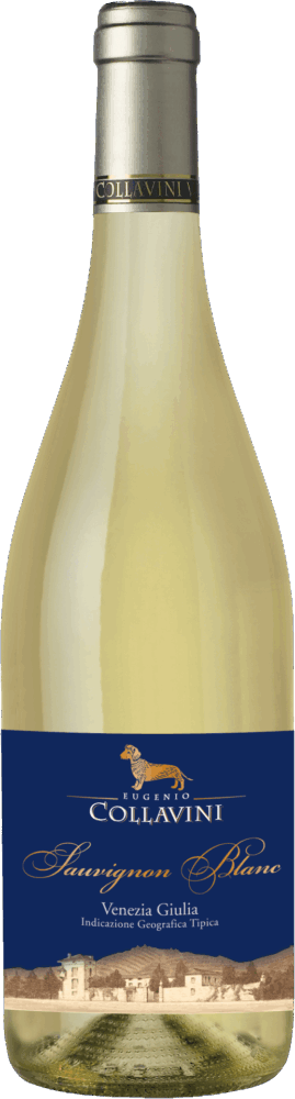 Collavini Sauvignon Blanc Igt 2024  0.75 L Flasche