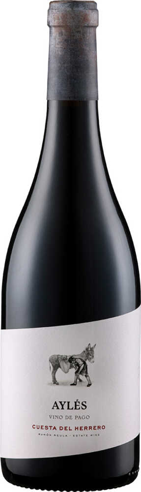 Pago de Ayles Cuesta L Herrero   Vino De   Bio Cariñena 2024  0.75 L Flasche