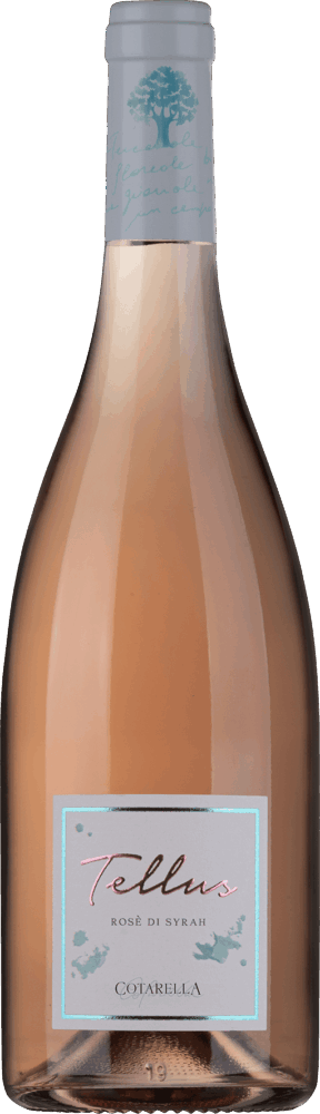 Falesco Tellus Rose Di Syrah Lazio Igp 2024  0.75 L Flasche