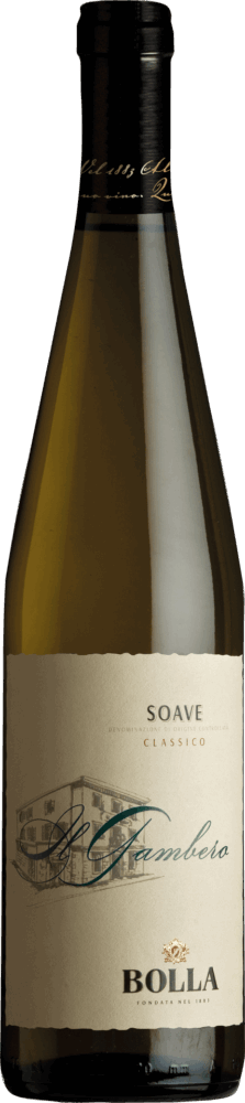 Fondazione Soave
