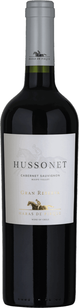Hussonet Cabernet Sauvignon Gran Reserva