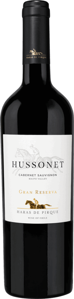 Hussonet Cabernet Sauvignon Gran Reserva