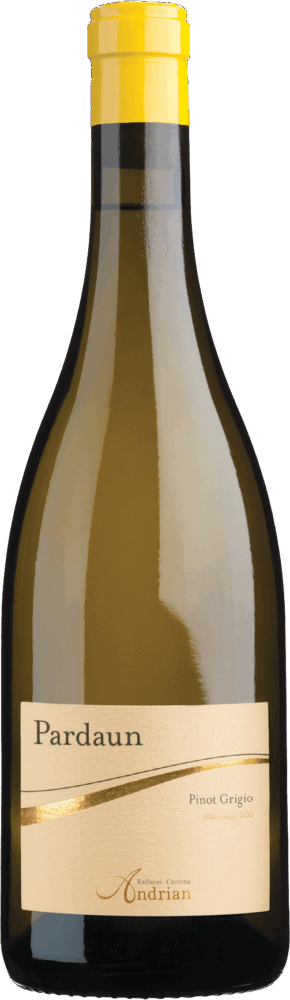 Pardaun Pinot Grigio Doc