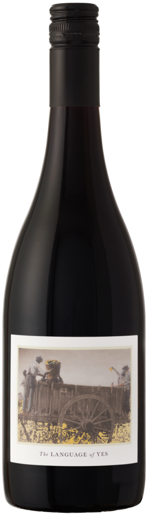 The Language of Yes Syrah 2023  0.75 L Flasche