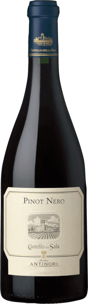 Pinot Nero Umbria Igt