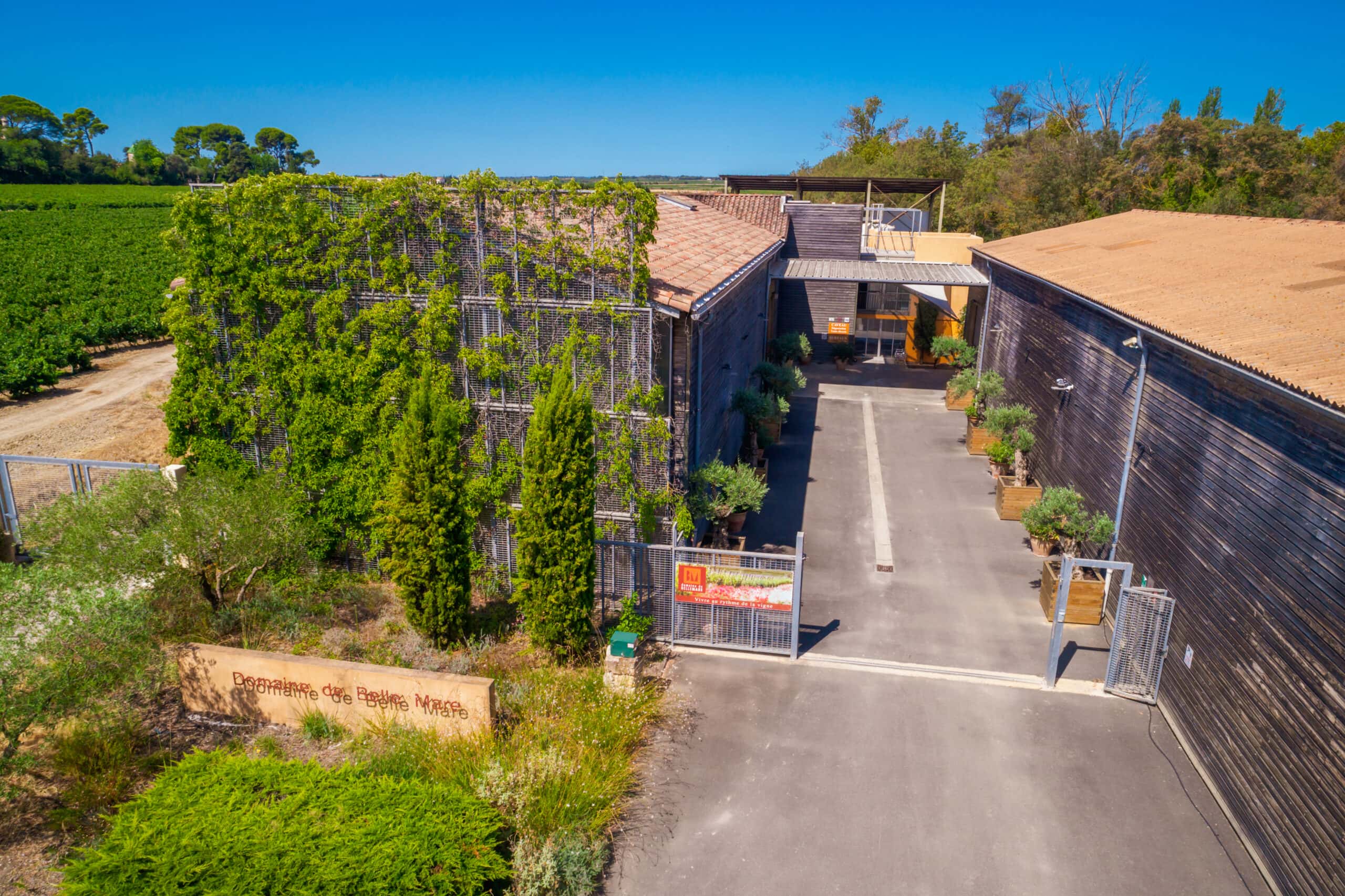 Weingut Domaine de Belle-Mare