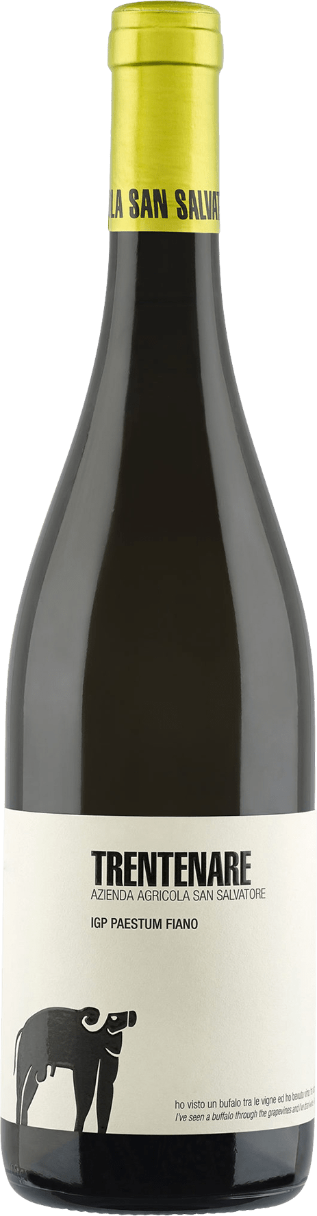 Azienda Agricola San Salvatore Trentenare Fiano 2024  0.75 L Flasche