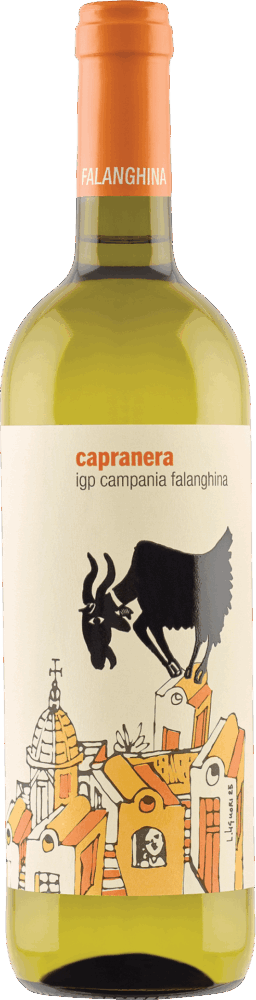 Azienda Agricola San Salvatore Capranera Falanghina 2025  0.75 L Flasche