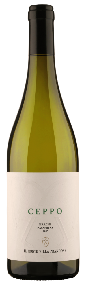 Ceppo Marche Passerina Igp