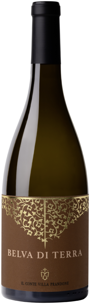 Belva D Terra Marche Sauvignon