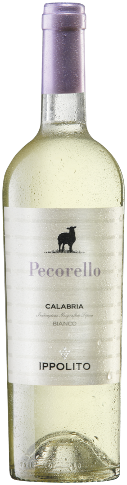 Ippolito Pecorello Calabria Bianco 2025  0.75 L Flasche