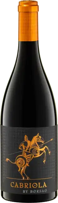 Bodegas Borsao Cabriola 2019  0.75 L Flasche