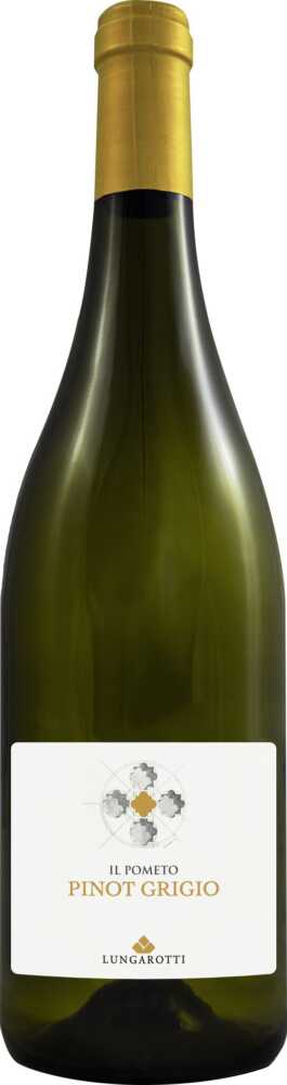 Lungarotti Pinot Grigio Umbria Pinot Grigio Igt 2024  0.75 L Flasche