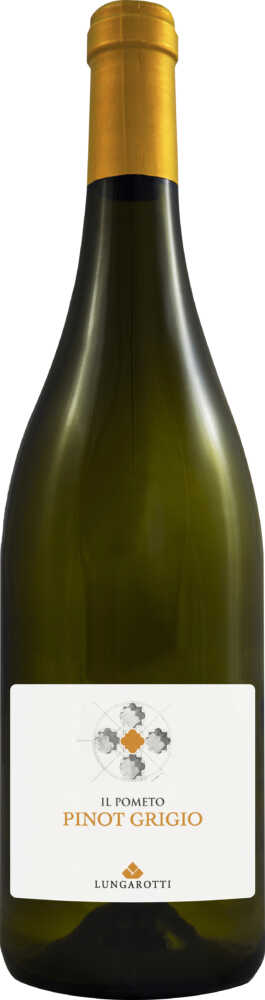 Pinot Grigio Umbria Pinot Grigio Igt