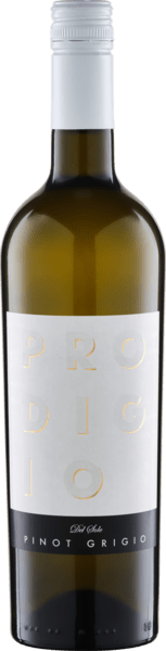 Prodigio del Sole Bio Pinot Grigio Terre Siciliane IGT 2024  0.75 L Flasche