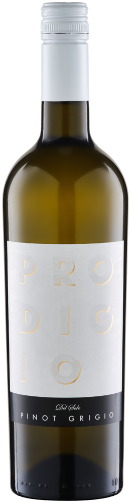 Prodigio del Sole Bio Terre Siciliane 2025  0.75 L Flasche