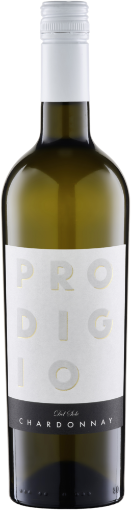 Prodigio del Sole Veneto 2024  0.75 L Flasche