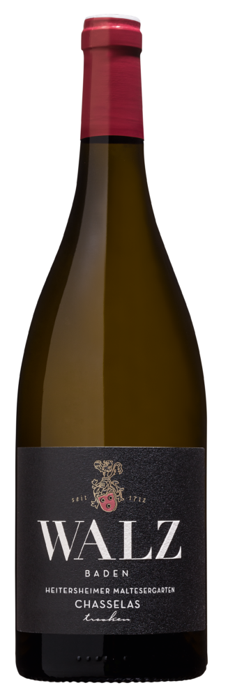 Maltesergarten Chasselas Flaggschiff Bio