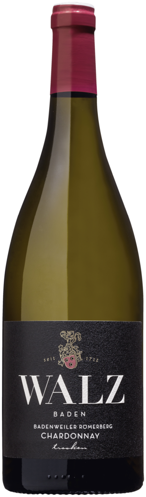 Weingut Walz Römerberg Tr. Bio 2024  0.75 L Flasche