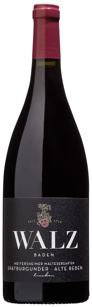Weingut Walz Maltesergarten Spätburgunder Alte Reben Bio 2023  0.75 L Flasche