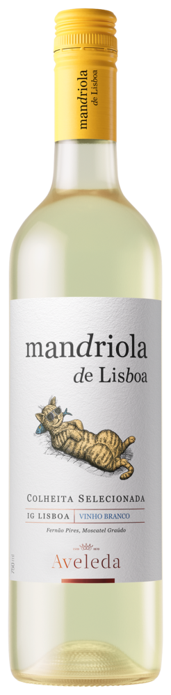 Mandriola de Lisboa Branco 2025  0.75 L Flasche