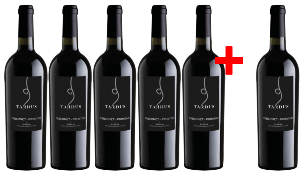 Cantine Minini 5 + 1 Rotwein-Vorteilspaket Tardus Cabernet Primitivo Puglia Igt 6 Flaschen á 0,75L