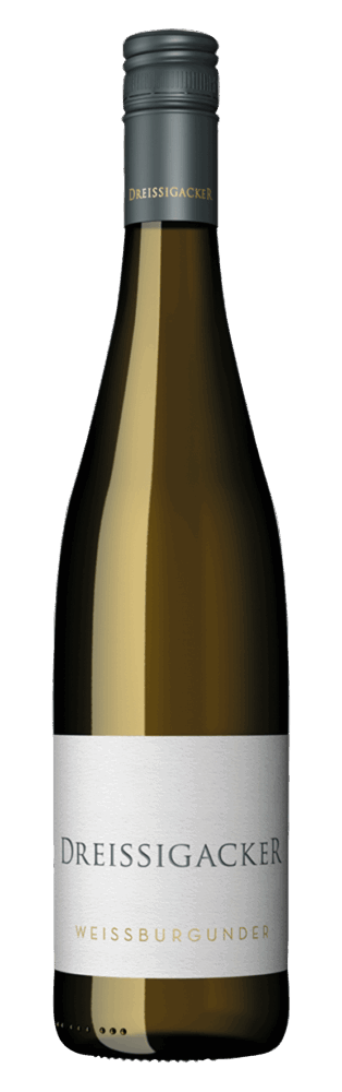 Weißburgunder