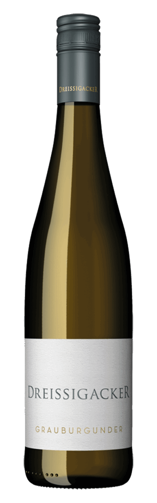 Dreissigacker Grauburgunder Rheinhessen Deutscher Qualitätswein 2025  0.75 L Flasche
